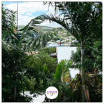 annonce-maison-vanym-2.5