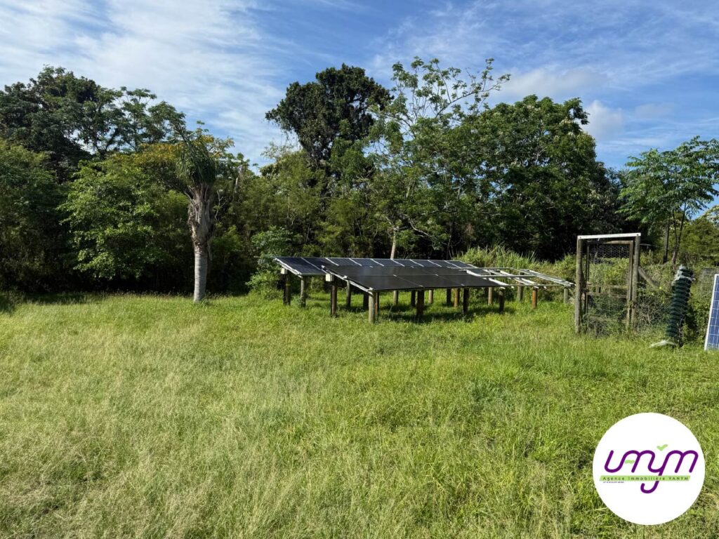 annonce-maison-vanym-7.9