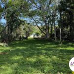 annonce-maison-vanym-7.9.1