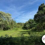 annonce-maison-vanym-7.9.2