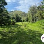 annonce-maison-vanym-7.9.3