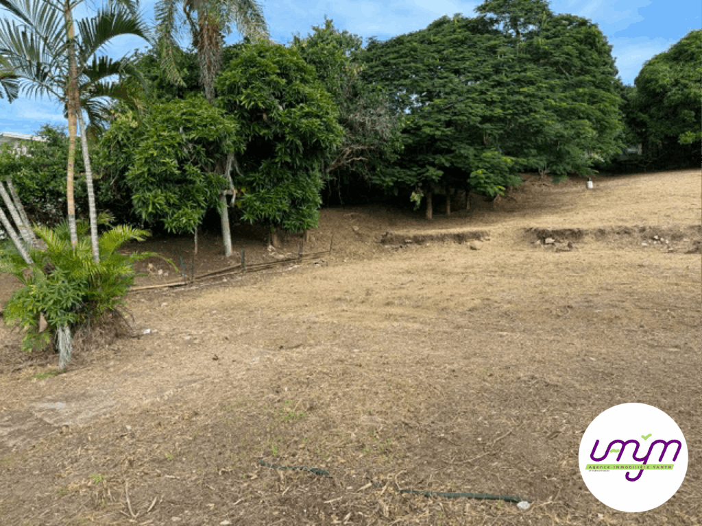 annonce-terrain-vanym-11.1