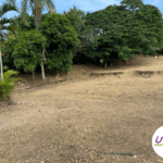 annonce-terrain-vanym-11.1