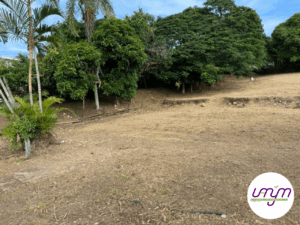 annonce-terrain-vanym-11.1