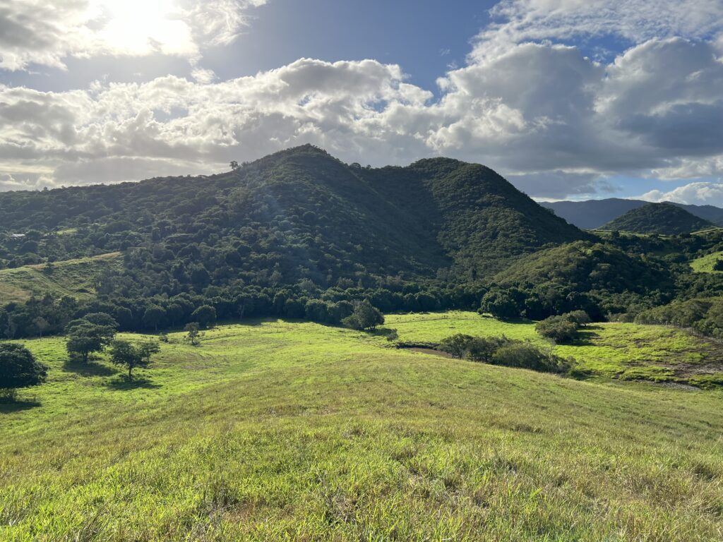 Terrain à La Foa de 5 hectares viabilisé à vendre par l'agence Vanym en Nouvelle-Calédonie