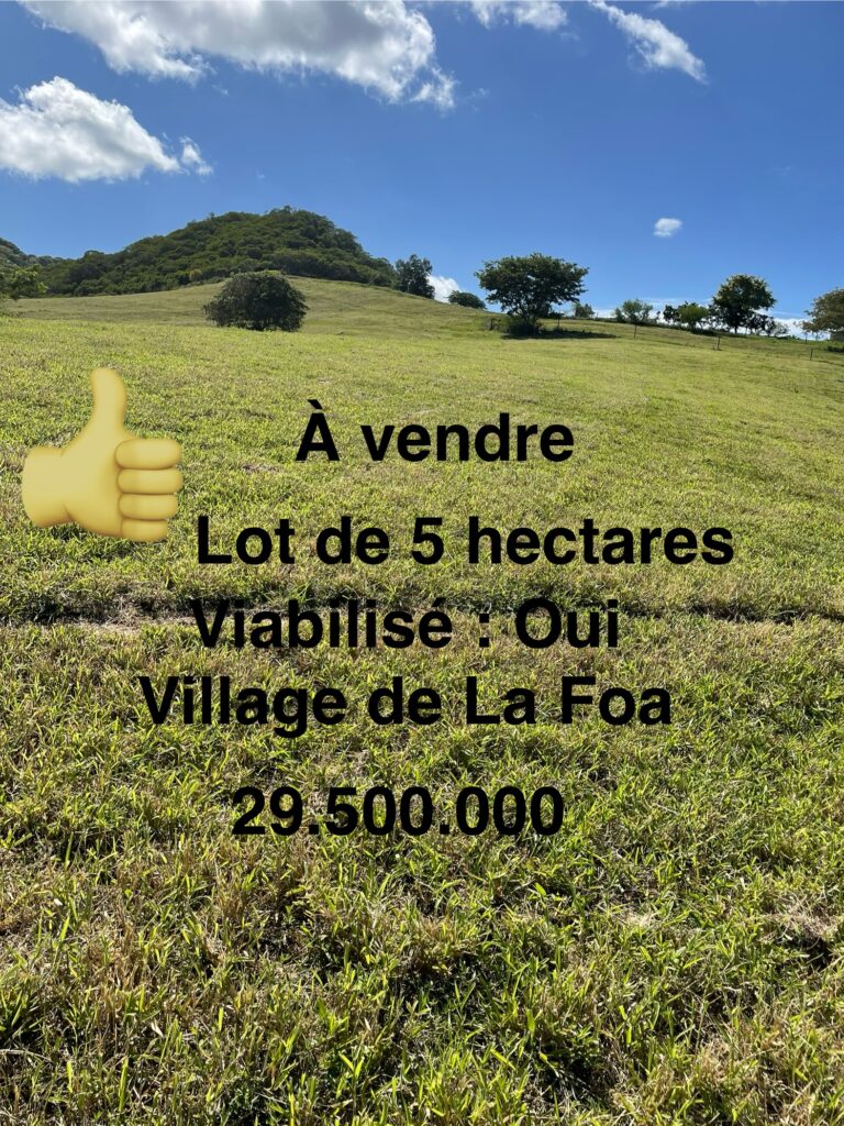 Terrain de 5 hectares viabilisé à vendre à La Foa - Vanym