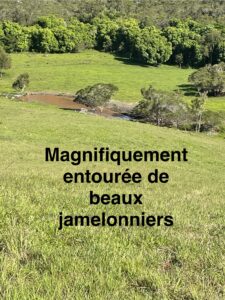 Terrain de 5 hectares viabilisé à vendre à La Foa - Vanym
