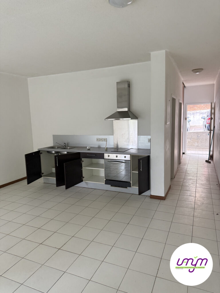 La cuisine aménagée, avec plaque, four et hotte inox.