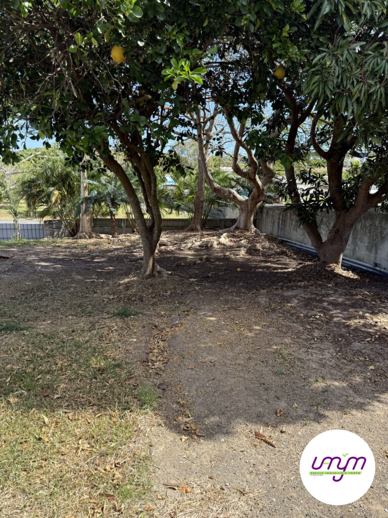 Terrain de 9 ares 66 planté d’arbres fruitiers et d’agrumes, maison F4 à vendre à Koutio par l’agence Vanym